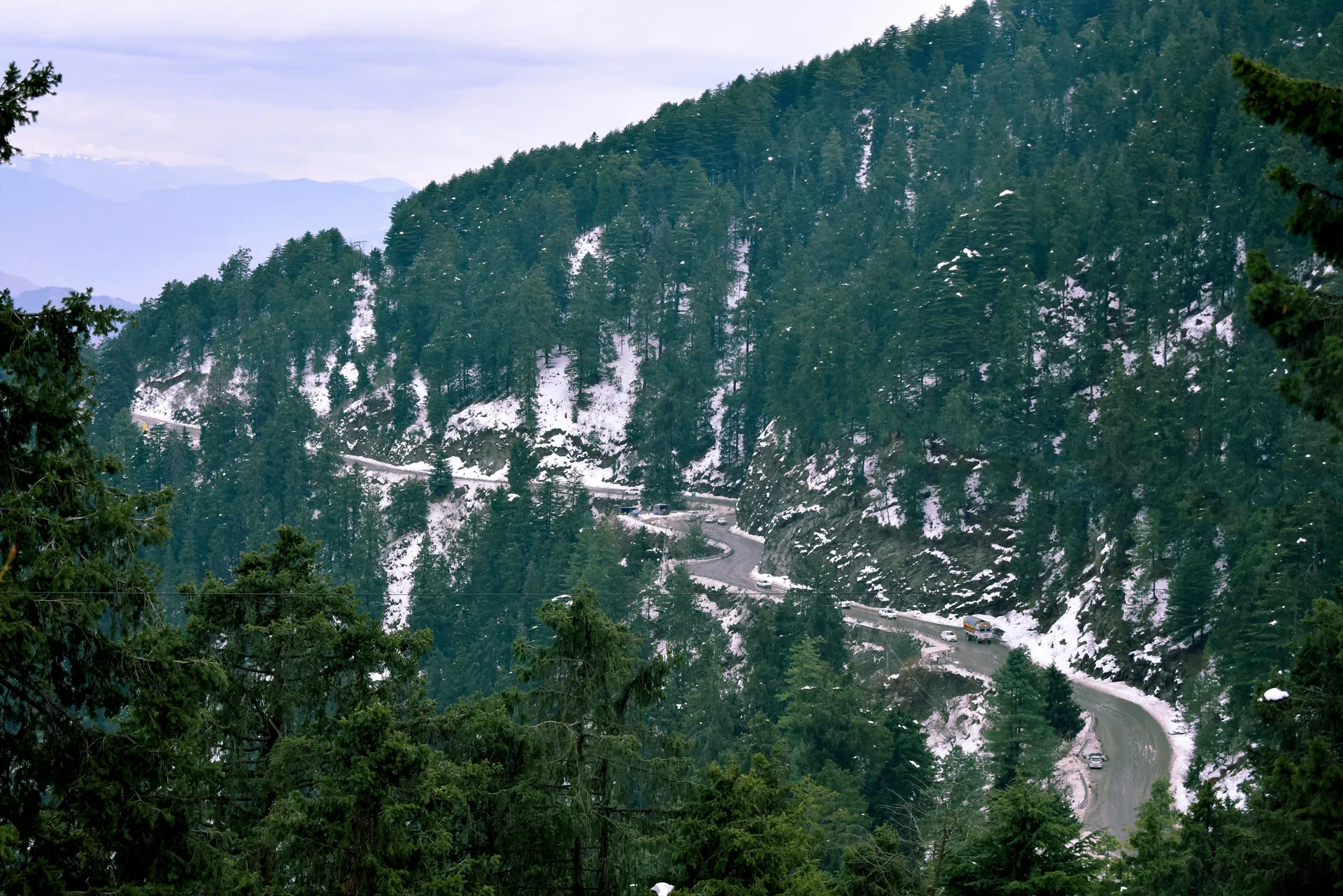 Kufri snow